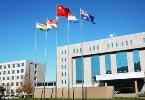 5Surface Technology 2017